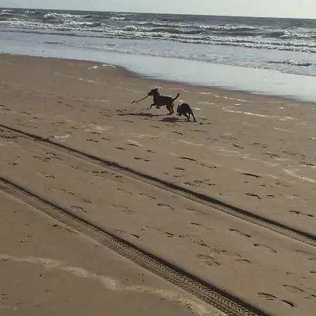 Beachlounge Gasthuis
